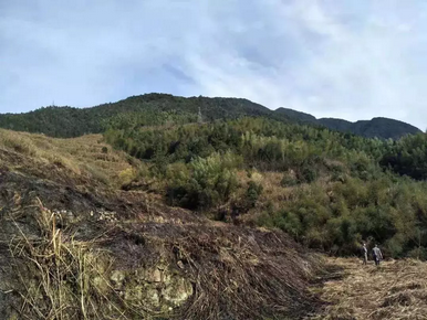 mg����ͻ��(�й���)�ٷ���վ