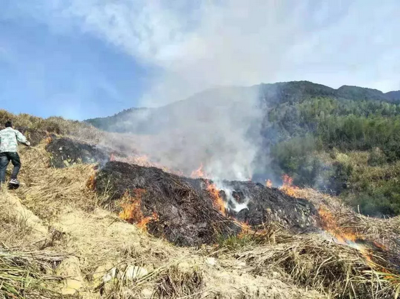 ���������⼸ֻ�����۾�����������������ȼ�սո���Ϊ�������ӣ�