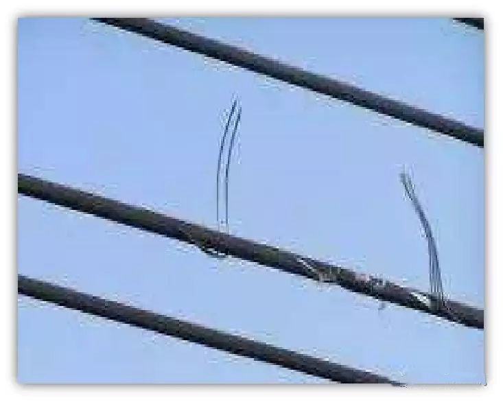 mg����ͻ��(�й���)�ٷ���վ