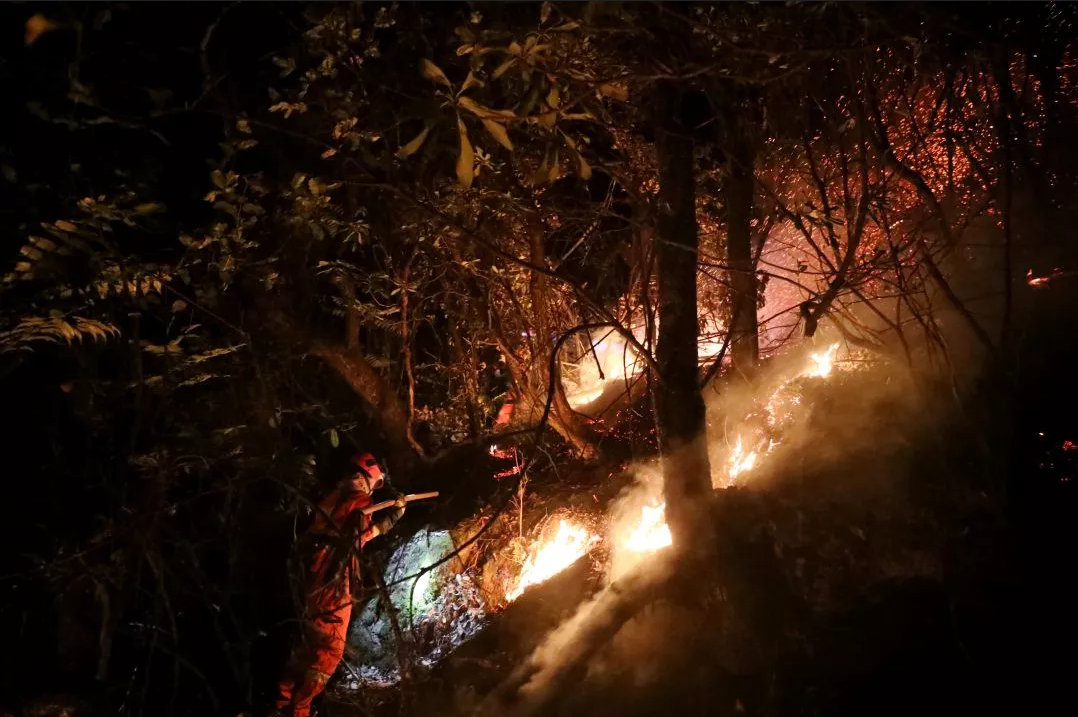 �Ĵ�����ͻ��ɭ�ֻ��֣�����������750���˽����˾�