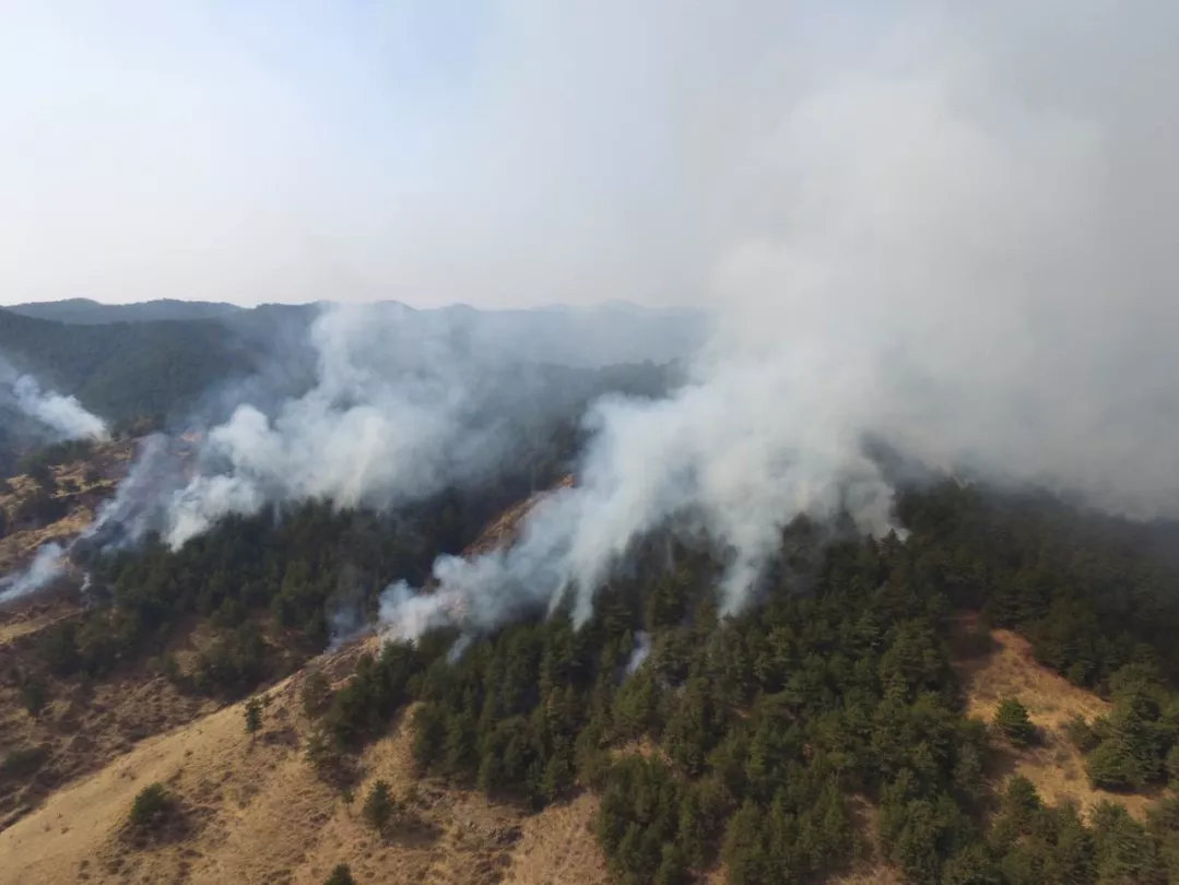 Դ��������75������23�� �в�ս�����Ӳ�ս�Ȼ�