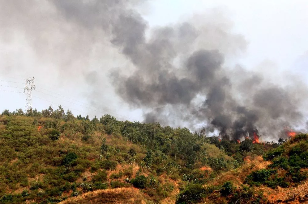 ���������ɽ���������������������������������������У�