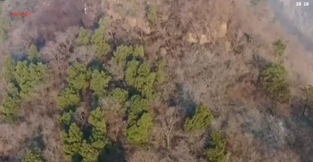 mg����ͻ��(�й���)�ٷ���վ