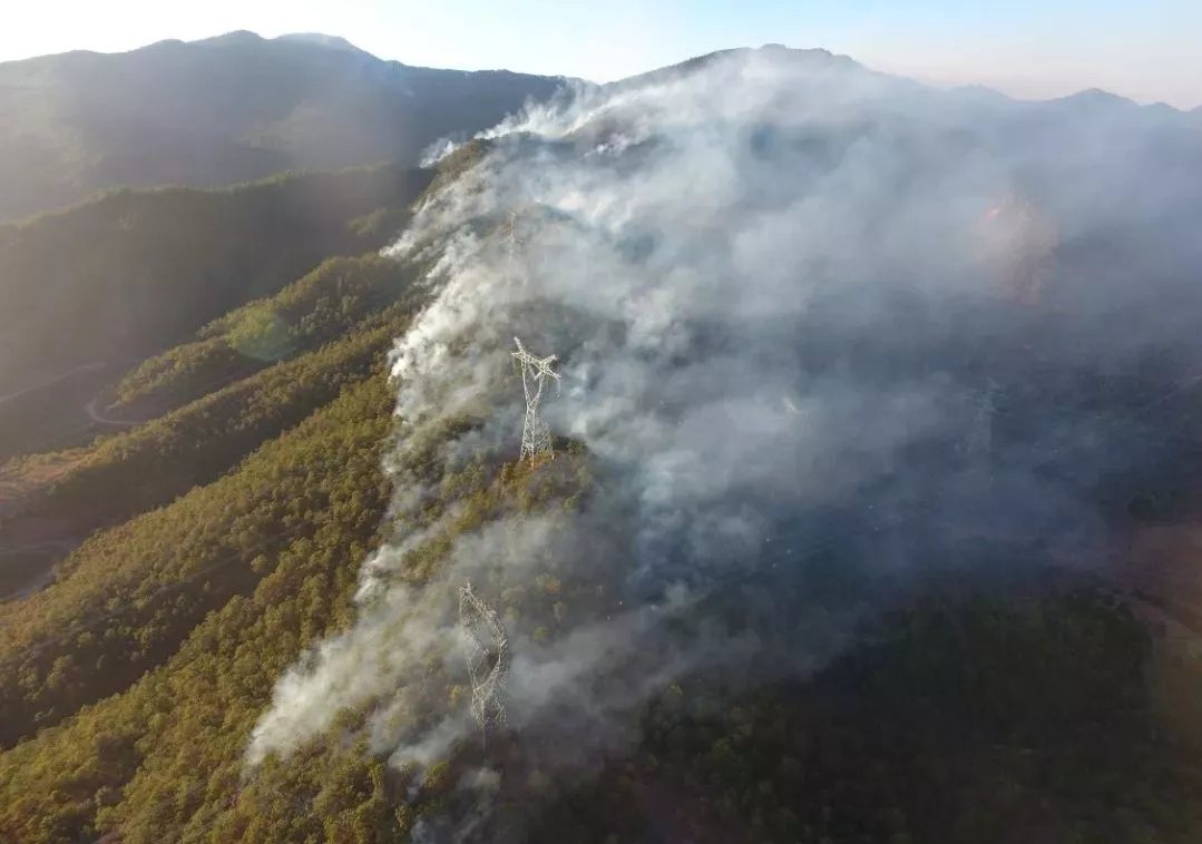 mg����ͻ��(�й���)�ٷ���վ