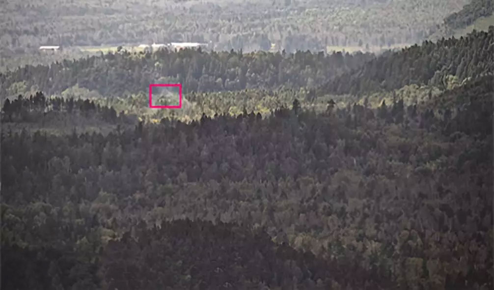 mg����ͻ��(�й���)�ٷ���վ