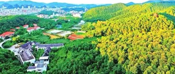 ���ܻ���̬���μ��ϵͳ