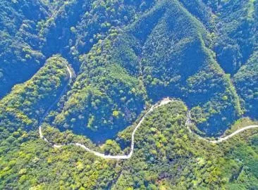 ���ܻ�������������������ɭ�ַ����عܻ������ǻۡ�