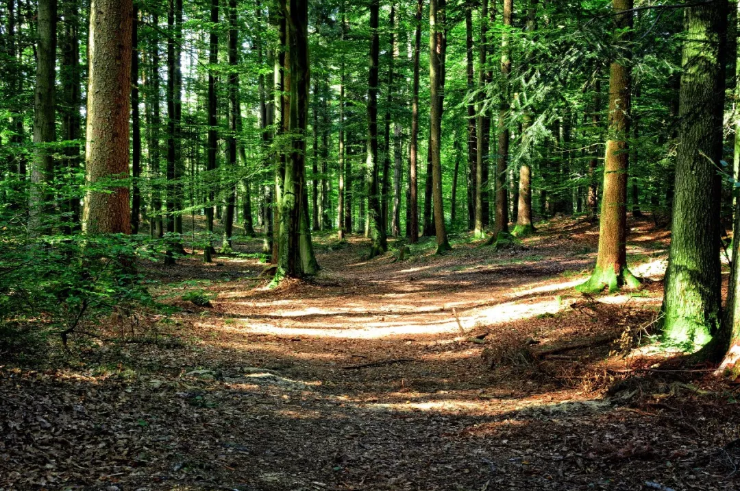 mg����ͻ��(�й���)�ٷ���վ