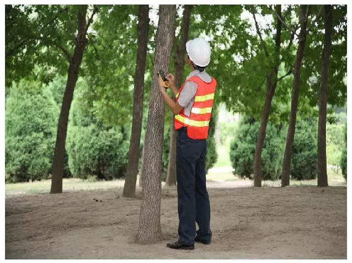 mg����ͻ��(�й���)�ٷ���վ