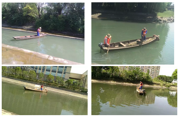 ����ɳ���ٻ���̬��������������������������Ѫ˨��