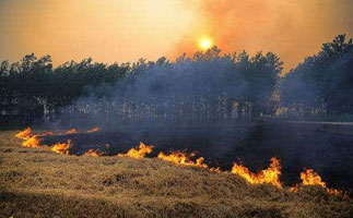 ע�أ����򡮱�ȼ�ա��İ�ʵ�ֽոѽ��ռ��ȫ����