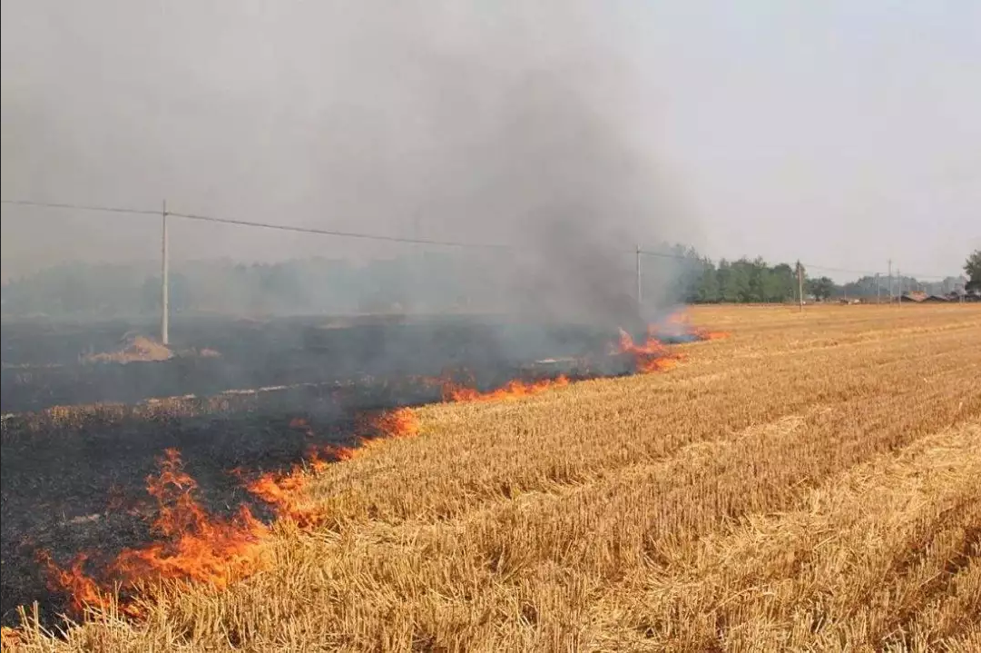 mg����ͻ��(�й���)�ٷ���վ