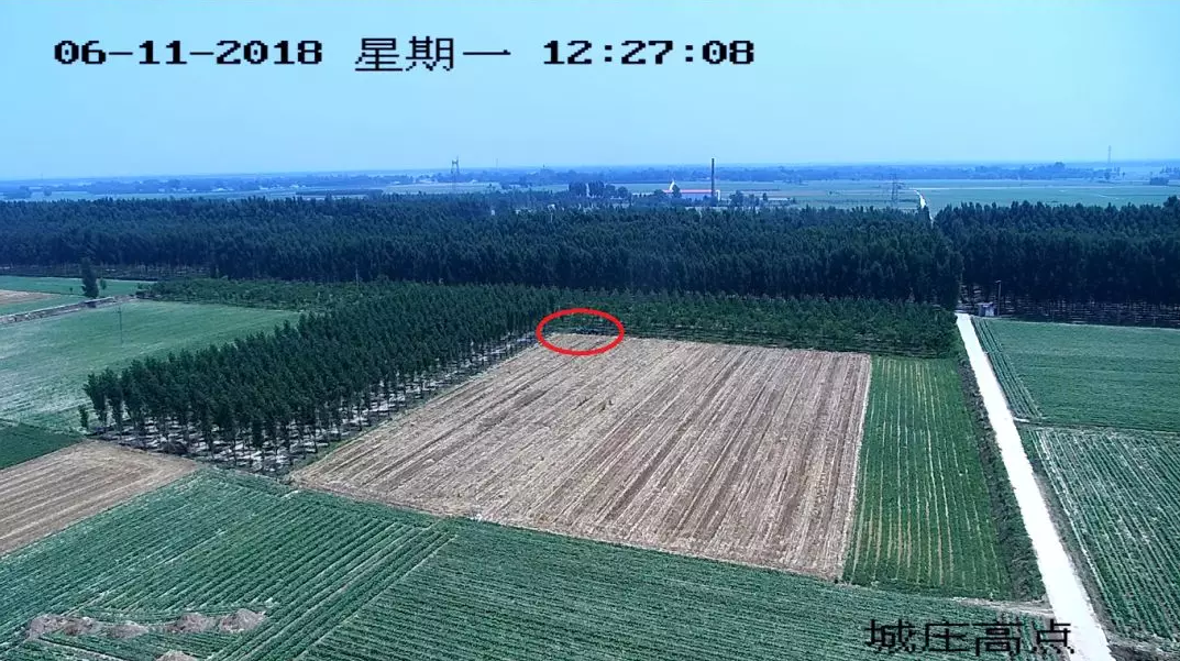 mg����ͻ��(�й���)�ٷ���վ