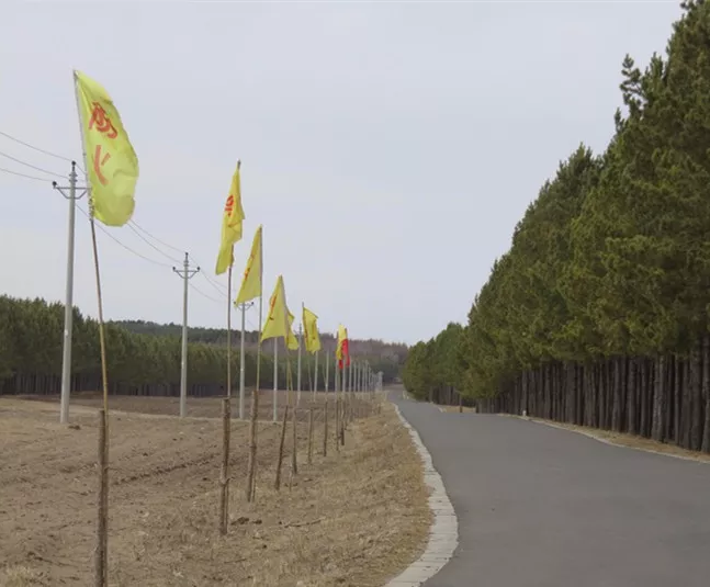 mg����ͻ��(�й���)�ٷ���վ