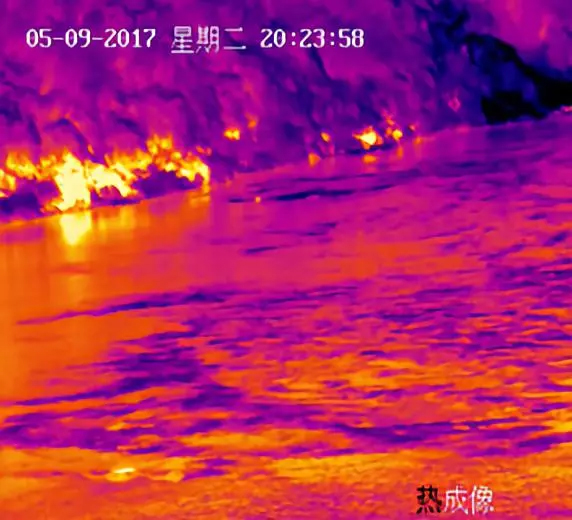 ��ֻ��ⲻҪ�ţ������������������ȳ���������