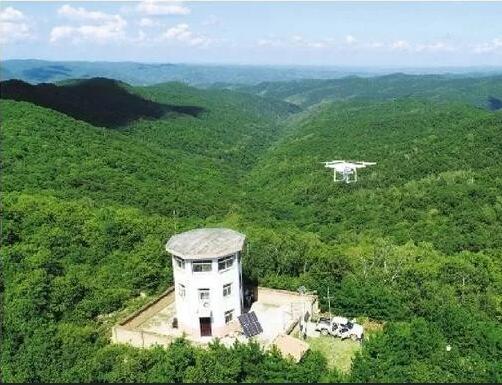 mg����ͻ��(�й���)�ٷ���վ