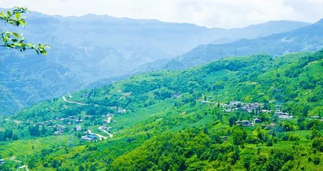 ������38��Ķ��̬�����ֳ�Ϊ���䡰ɭ�ֹ�԰��