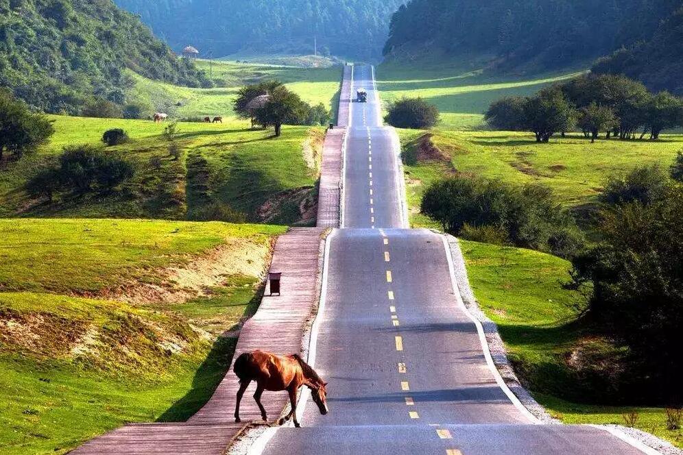 mg����ͻ��(�й���)�ٷ���վ