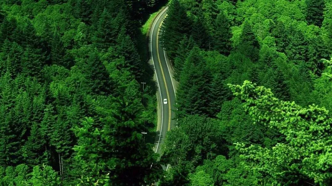 mg����ͻ��(�й���)�ٷ���վ