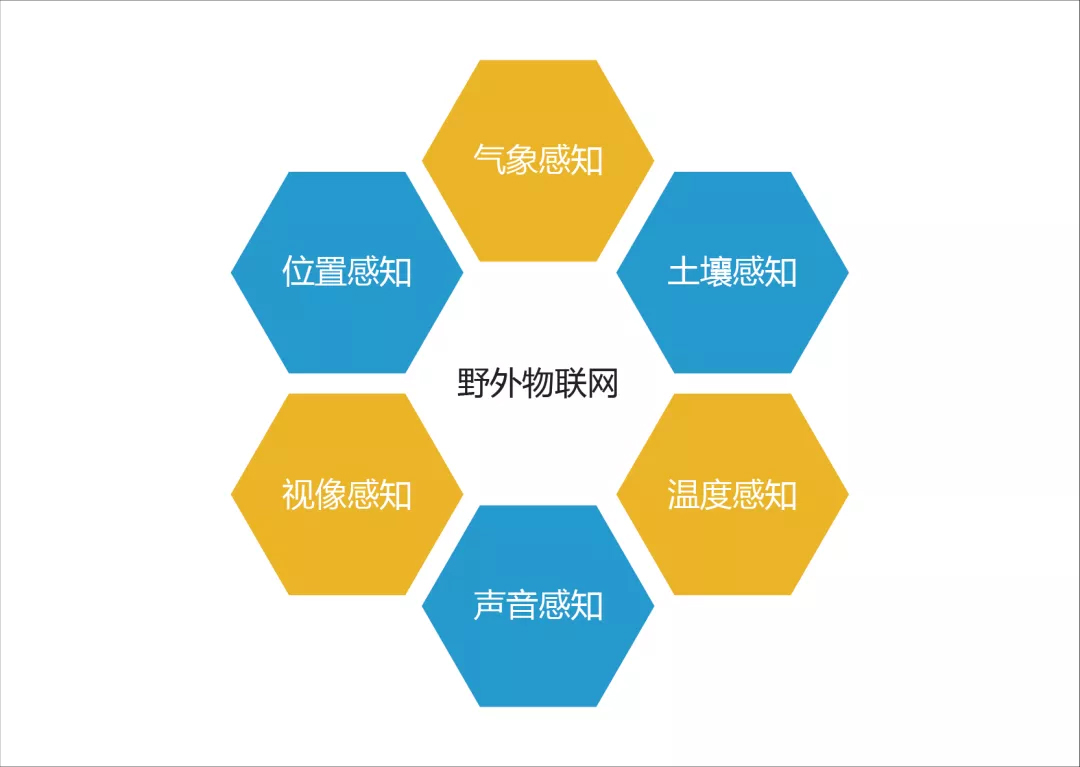 ɭ�ַ�����ϵͳ