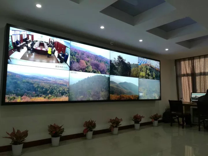 mg����ͻ��(�й���)�ٷ���վ