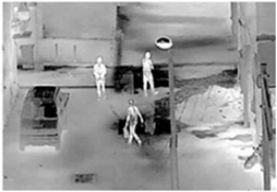 ������Զ��