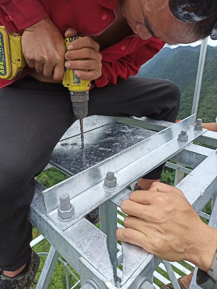 ɭ�ַ���Ԥ��ϵͳ