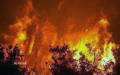 ɭ�ַ�����ϵͳ