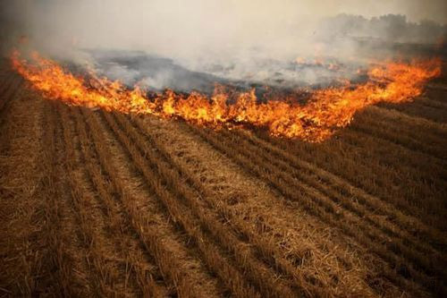 mg����ͻ��(�й���)�ٷ���վ