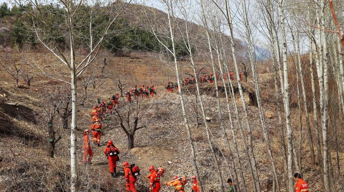 ɭ�ַ���Ԥ�����ϵͳ