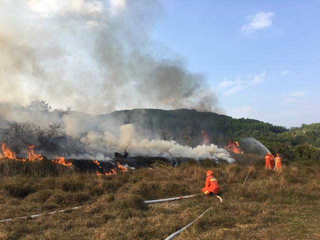 �����Ȼ���ָ߷������������������������Ǹ���������������Ƶ���Ԥ���ƻ�