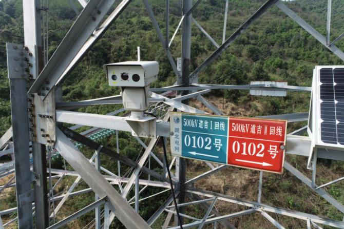 ɭ�ַ�������Ԥ��