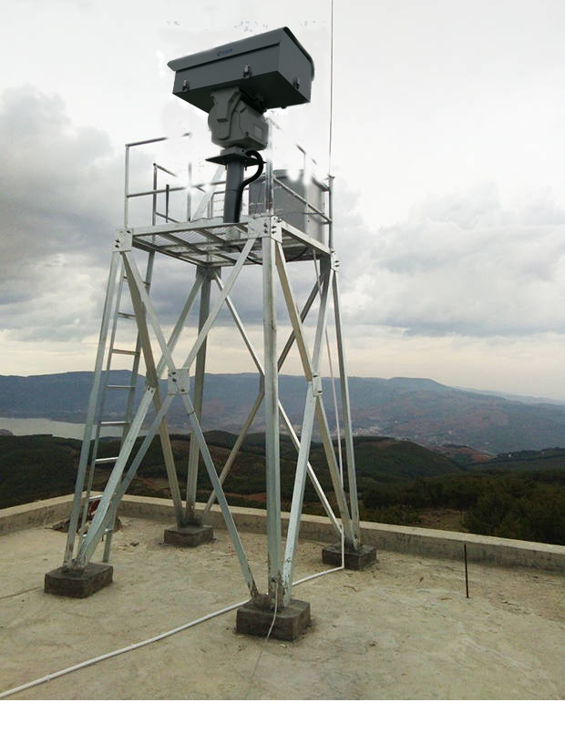 mg����ͻ�ƹ������ƾ֤������Ҫ�ļ��з���ɭ�ֲ�ԭ������Σ�����Ż��ն������ۺϼ��վ��