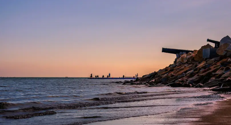 ���ù�������