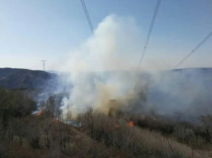 ɭ�ֻ��ּ�� �ɼ��������