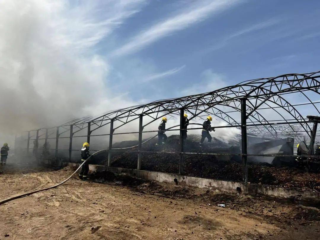 ɭ�ֲ�ԭ����Ԥ�������Ϣ����ؼƻ�