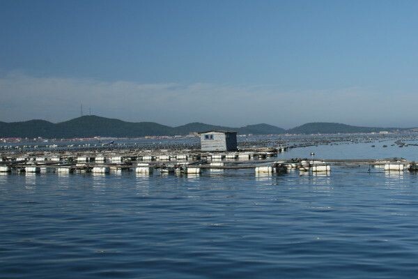 1�����غ��ܱߴ�����Ƶʶ�����������ôѡ��