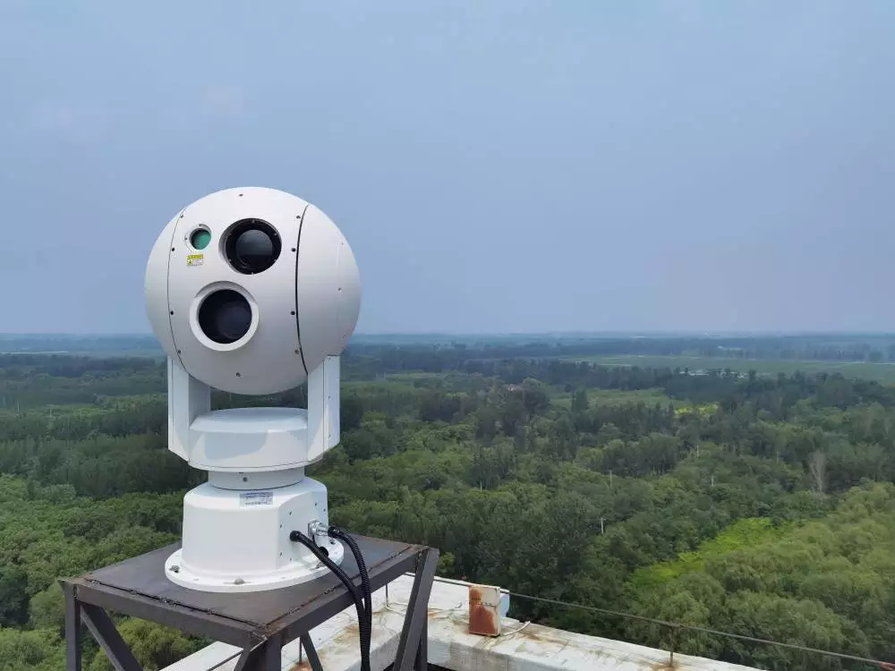 ɭ�ֻ��ּ�����