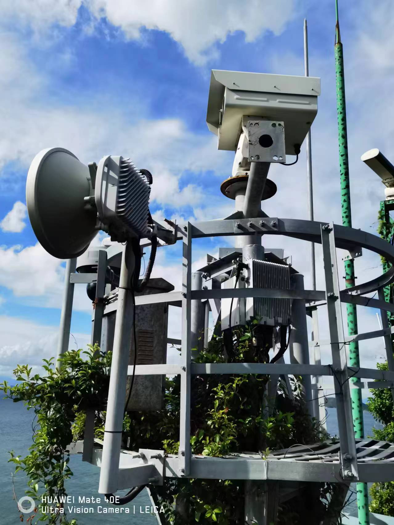 ������Ƶ���ϵͳ