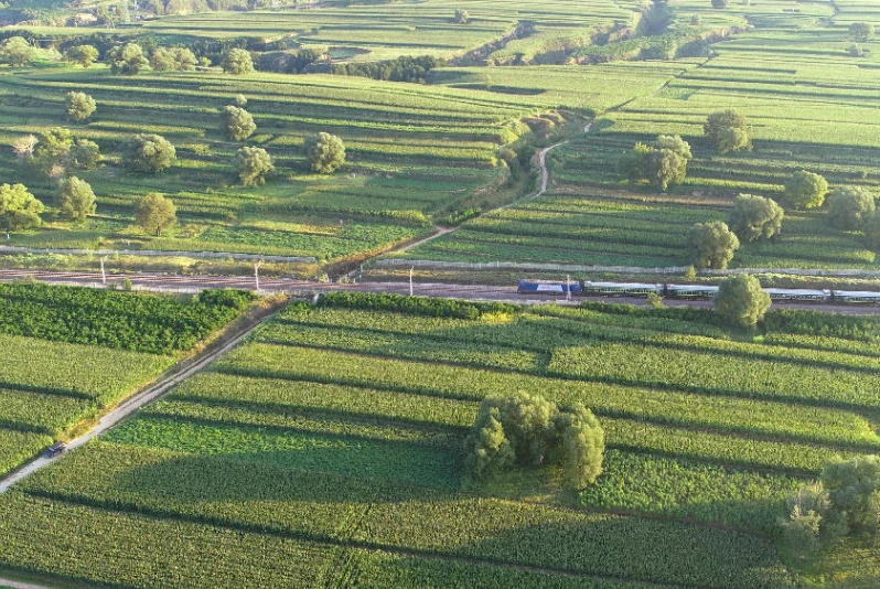 ��·����ȼ�����׽ո�������Ƶ���