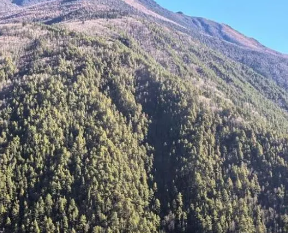 Զ����˫��������̨�����