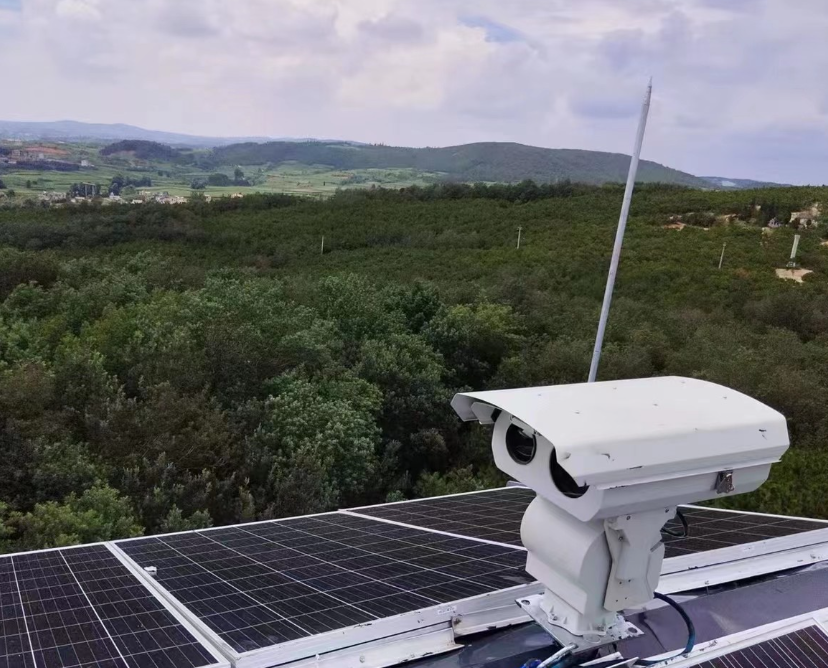 ɭ�ֻ���������