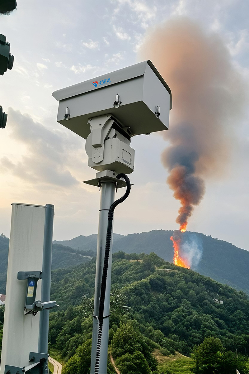 ����ֵ��Ҳ�ܾ�׼Ԥ����˫������̨�����������̽��ʶ������������������ı�ɭ�ַ��𷽷�