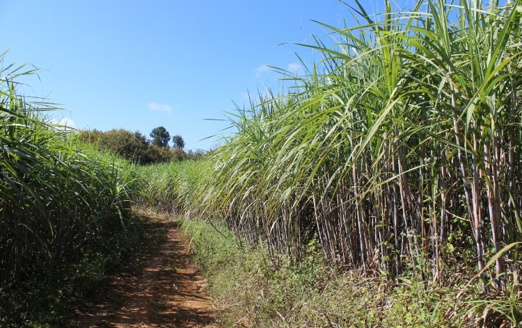 mg冰球突破(中国游)官方网站